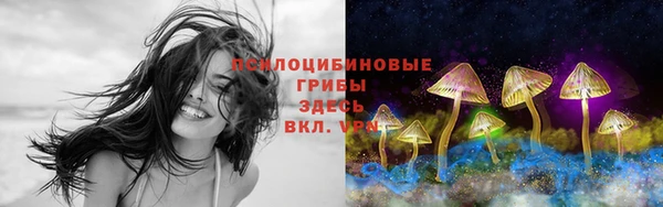 бошки Новый Уренгой