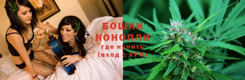 Конопля Bruce Banner  купить наркоту  Нолинск 